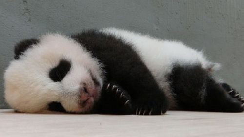 点图查看下一页