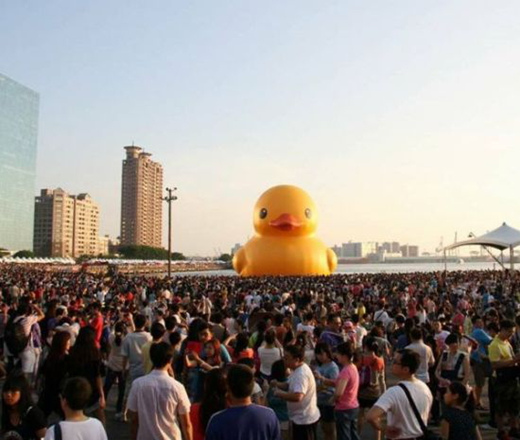 ���۴��Ѽ�����˴γ�231��20�վ��б�Ļ��ʽ