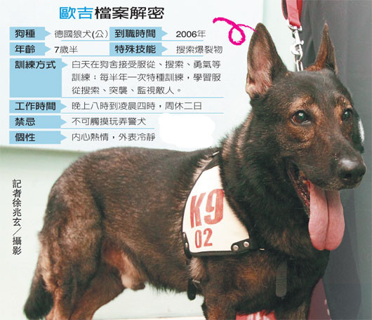 狼犬守护台北故宫“进宫”七年“没恋爱未成家”
