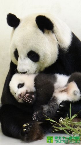 点图查看下一页