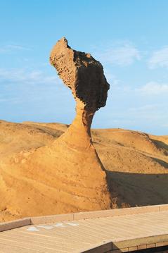 ̨��ʮ����ʾ���ƱѡҰ�����ʹ�԰��ͷ�ͼ��