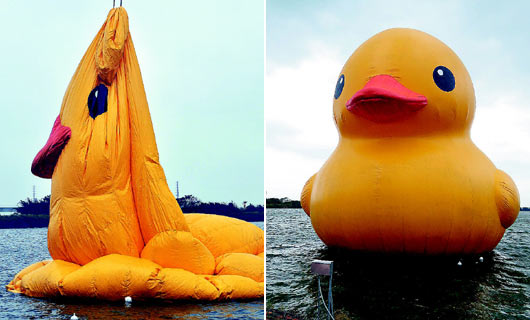 ̨����԰�����Ѽ�����������̬�ع⣨ͼ��