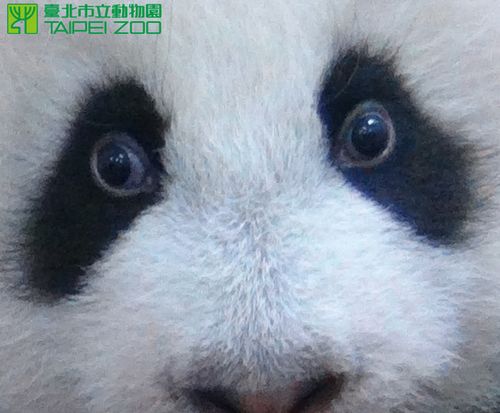 ��Բ�С����Խ��Խ�ñ�ĸ�׵����Ҷ����Ϣ