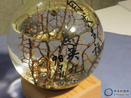 ��Ӣ�������֡�����ร��ũ���ϰ����Щ����