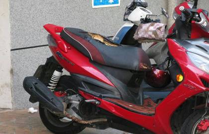 怀疑遭邻居监视台湾男子纵火烧其摩托车报复