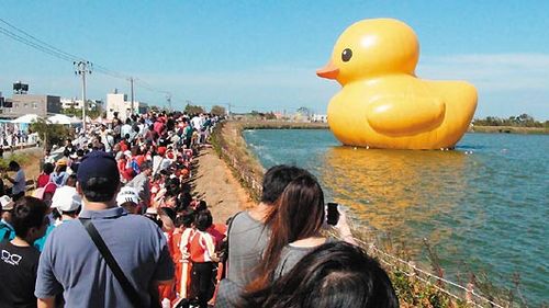 大黄鸭在桃园5天参观人次逾100万人(图)
