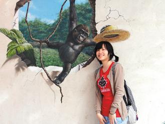 台北动物园设计3D壁画游人可跟金刚猩猩合照