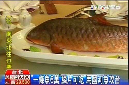 ̨�塰�������㡱��һ��6��̨�������ܳ�