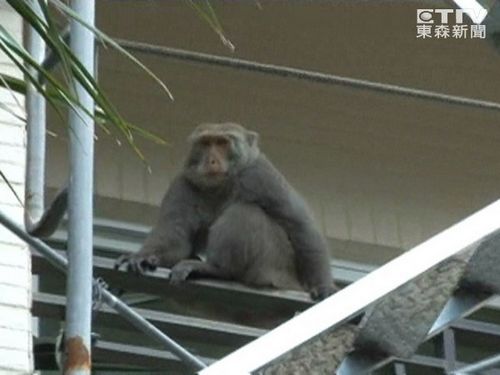 ̨��A�������լ�������������ڲ���ʧ�ܣ�ͼ��