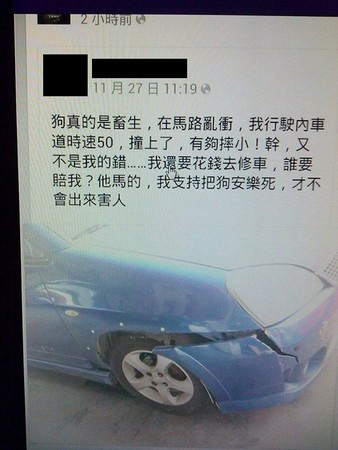 女子叫嚣把狗安乐死遭人肉搜索网友怒:丑死了
