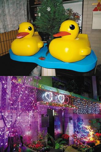 ̨����ֻСѼӭʥ������Ѽ�����ﳫ������ʶ