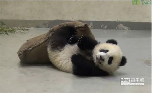 点图查看下一页