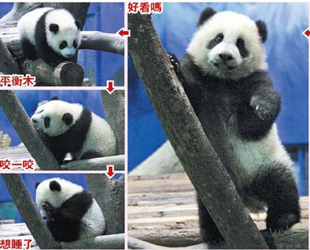 点图查看下一页