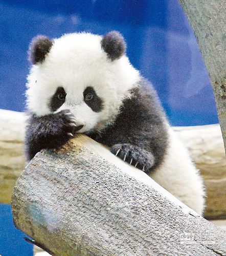 点图查看下一页