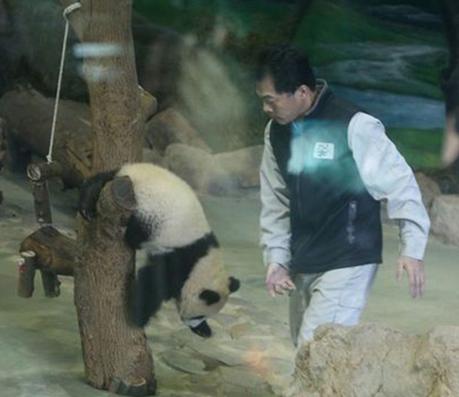 ��è��Բ�С���ĩ�������Ӱ�ˤ������ſ��ͼ��