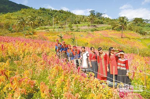 ̨�������ۻ������涷�޺�޼����˹��ӭ�ͣ�ͼ��