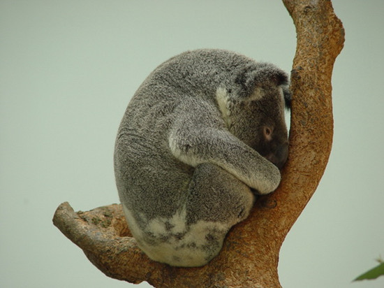 ͼ����������̨������԰���������軳��ȡů