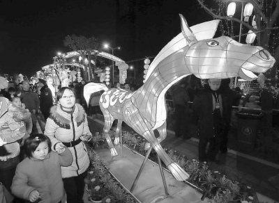 灯海耀两岸“两马”同贺春(图)