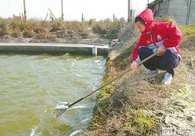 ̨ʭĿ��������ϮƵ�����г��۸��Ͻ�ֱ쭣�ͼ��