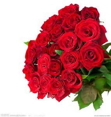 ���飺����ʳŮ������ʳ�С���̨���°�������