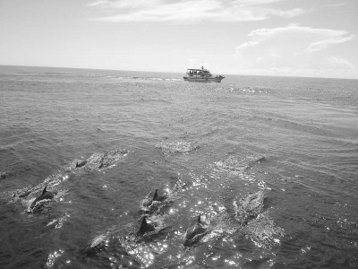 ̨����ҵ������ֵ·�����;��ࡢ����ӡ��洹��