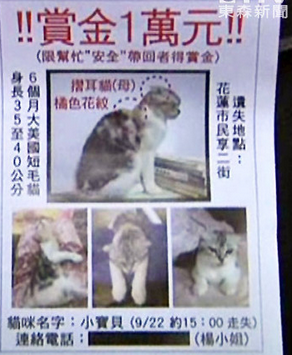 男子养死朋友爱猫被迫印上千份道歉启事四处发放