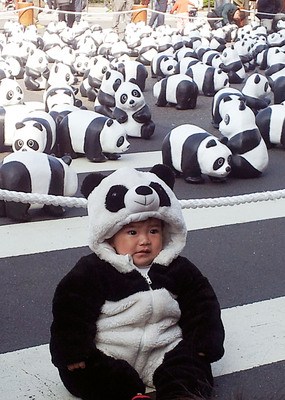 ̨��ֽ��è�������䡰Բ�С���ǧ�������գ�ͼ��