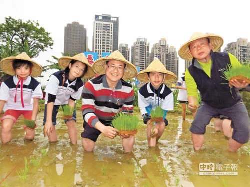 小学生“钻石”地段种菜被称台湾最贵菜园(图)
