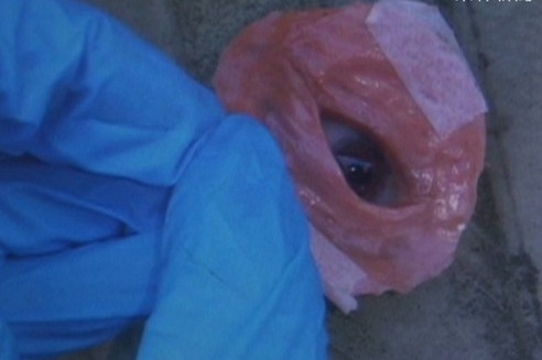 ̨�尢�ֱ������۾����ˡ�������Ա��æ�ҵ�����