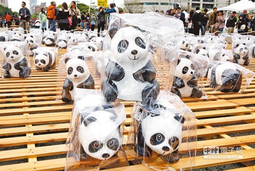 熊猫沪送暖，春满台北城—上海将赠两只小熊猫赴台北