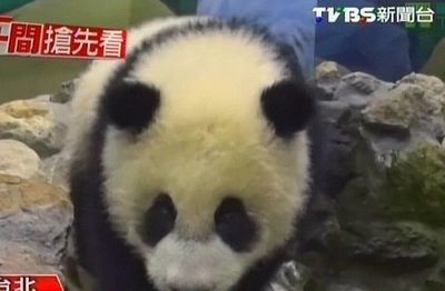 ��è��Բ�С����¼����߹���תս����ů����ͼ����2��