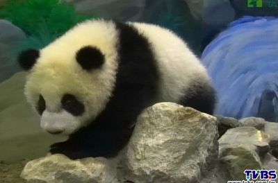 ��è��Բ�С����¼����߹���תս����ů����ͼ����3��