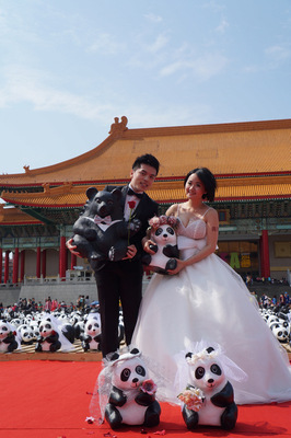 3.23г��������̨��ֽ��è��ͷɴ�������ߺ�̺