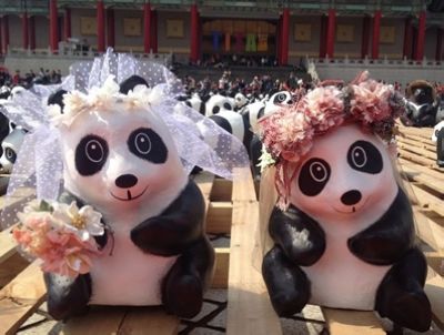 点图查看下一页
