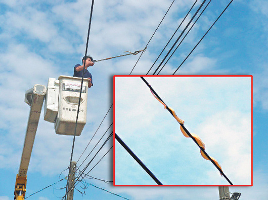 农妇挑蛇力道过猛蛇“飞天”困电线(图)