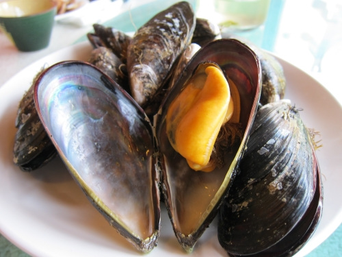 马祖怀旧老店:淡菜肥美红糟饭爽口(图)