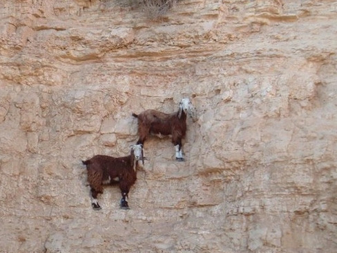 �����ɽ���������ͱ�̨����:֩�������ˣ�ͼ��