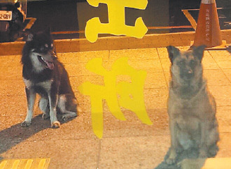 ���ӾƼݱ�ץ�ҹ��ɳ����⳹ҹ�غ�ͼ��