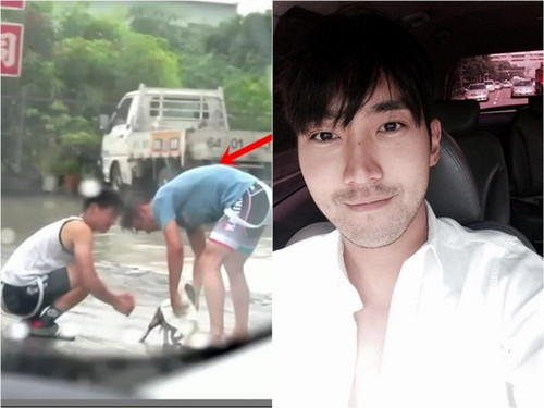 崔始源台湾拍戏见路边小狗淋雨下车帮擦干(图)