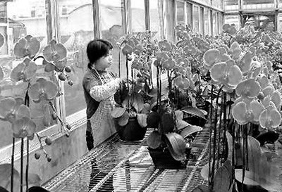 ��ũҵʵ������̨�ʽ�20����Ԫ�Ӵ�½��λ