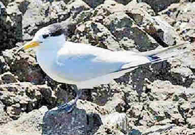 ����֮�񡱽�����������