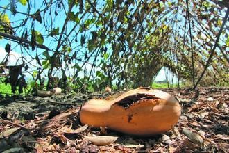 ̨���������ס��߹��������Ϲ�����ȫ��͵��