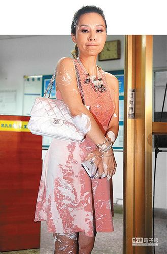 台湾名嘴许圣梅被泼白漆疑黑道指使(图)