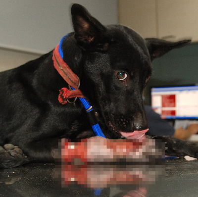 ��������������Լ�����伢��ͼ��