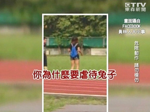 女子三度空抛兔子被网友痛骂“虐兔”(图)