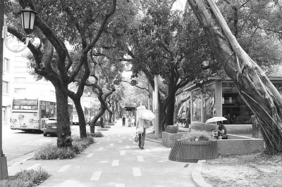 ƫ��̨������Ũ��ͼ��