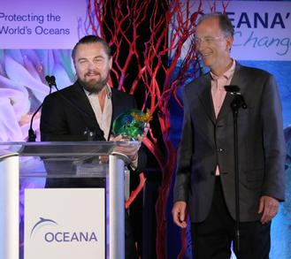 �����ɶ���󱣻��������������̨������