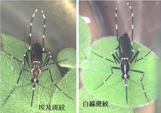 ̨��Ǹ��������ڶ���68�����ӷ���8�첻��