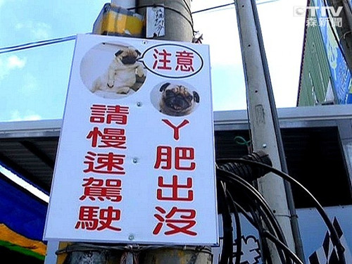 ���ְ˸�Ȯ����·���������������ѳ������٣�ͼ��