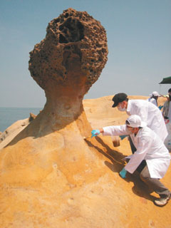 ̨�彫�������׼���Ϊ��Ұ��Ů��ͷ��������ͼ��